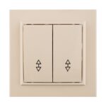 Переключатель EKF Минск ERV10-026-20, 2 клавиши, б/инд. 10А, 230В, IP20